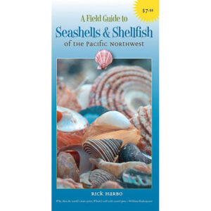 Shells and Shellfish of the Pacific Northwest Field Guide Spearfishing Canada