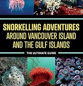 Snorkelling Adventures (Book)